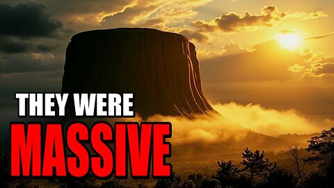 The Ancient Giant Trees Mystery🌲