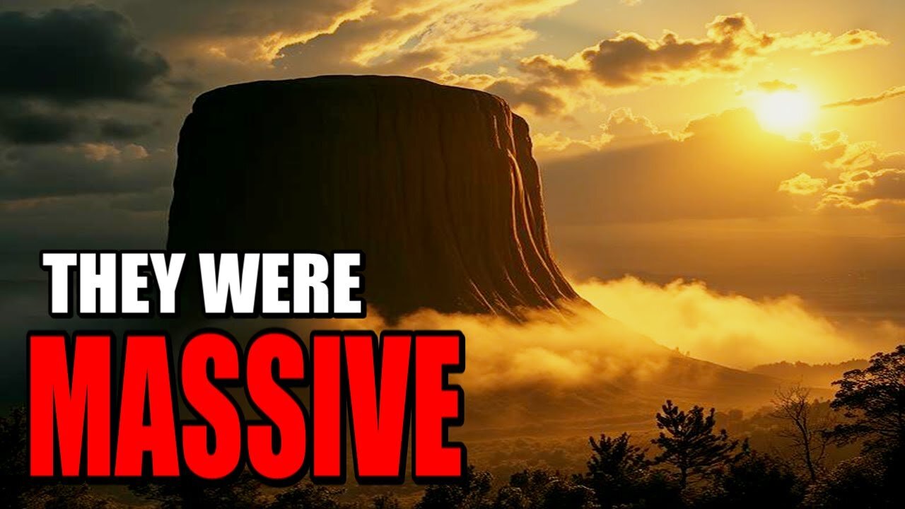 The Ancient Giant Trees Mystery🌲