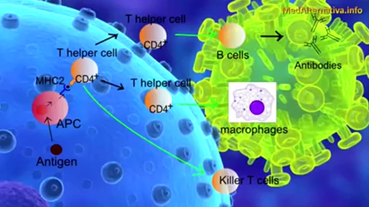 СКРЫТАЯ ЭПИДЕМИЯ. Замалчиваемая история вакцинации. УБЕЙ ВРАЧА ПРИ ПЕРВОЙ ВОЗМОЖНОСТИ !!!