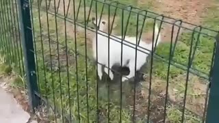 Playing With Strangers