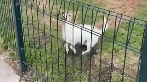 Playing With Strangers