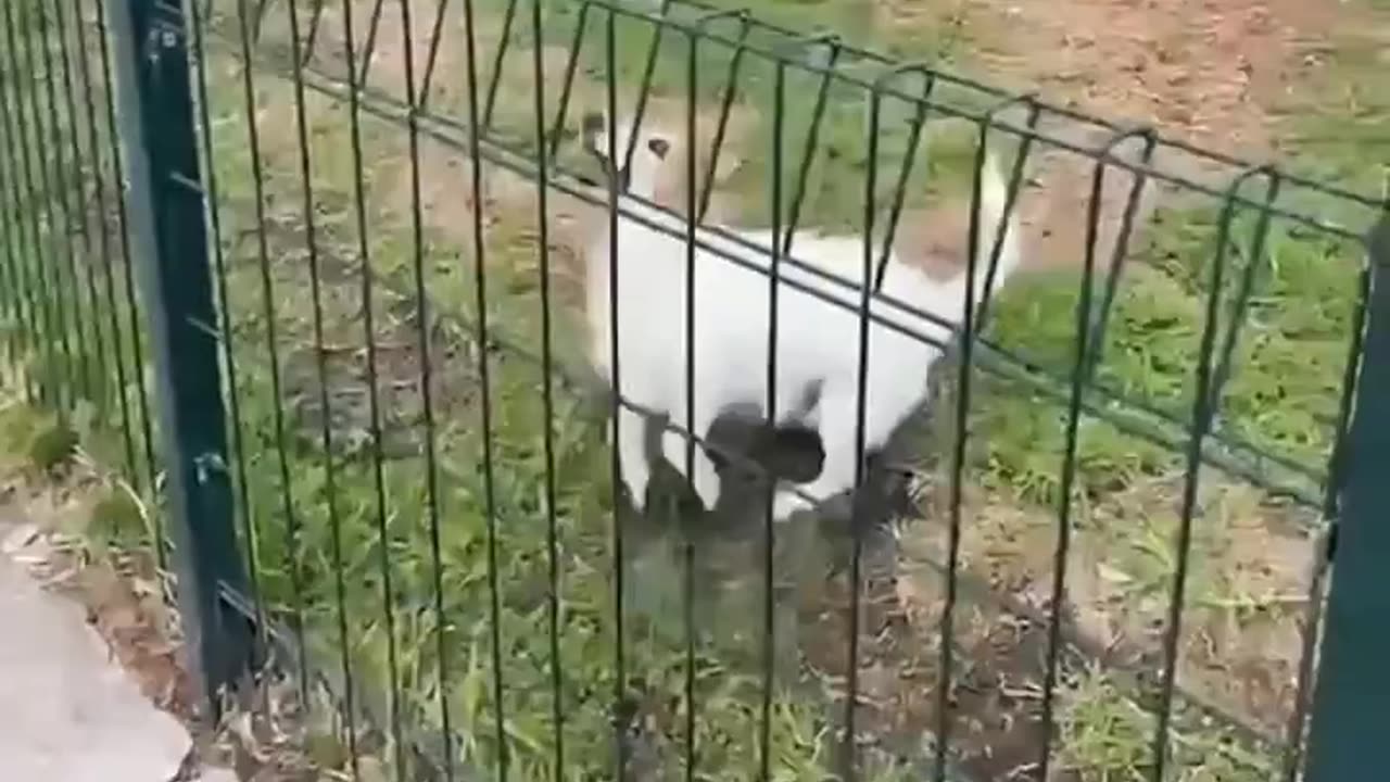 Playing With Strangers