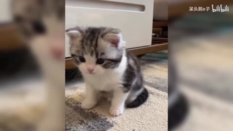 She seems to know she's cute