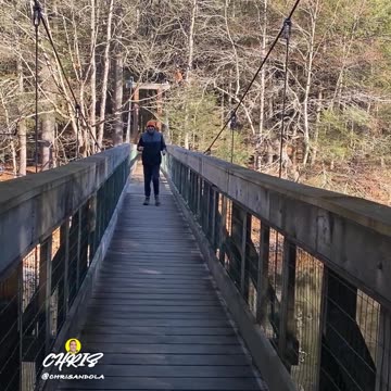 DO YOU LIKE BOUNCING BRIDGES?