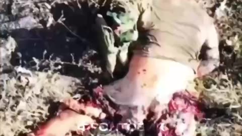 Ukriane war related /combat footage 12/23/2025