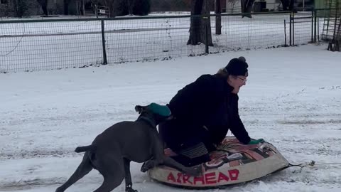 Snow Tubing With Dog Goes Wrong