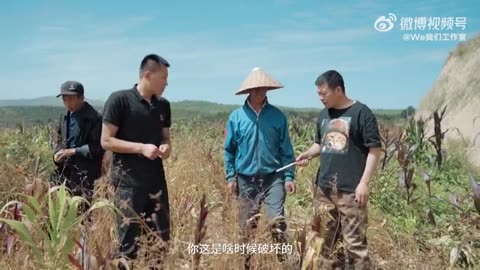 野猪的战斗力在动物界什么水平