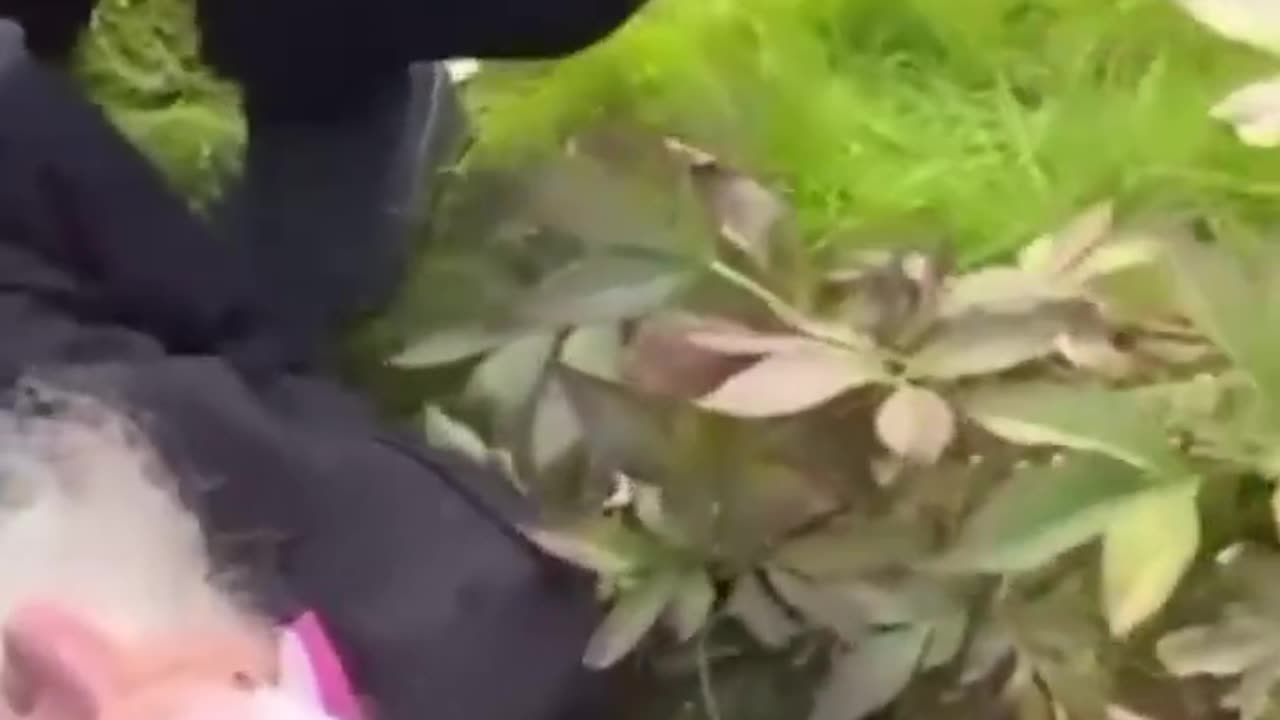 Church Persecution III