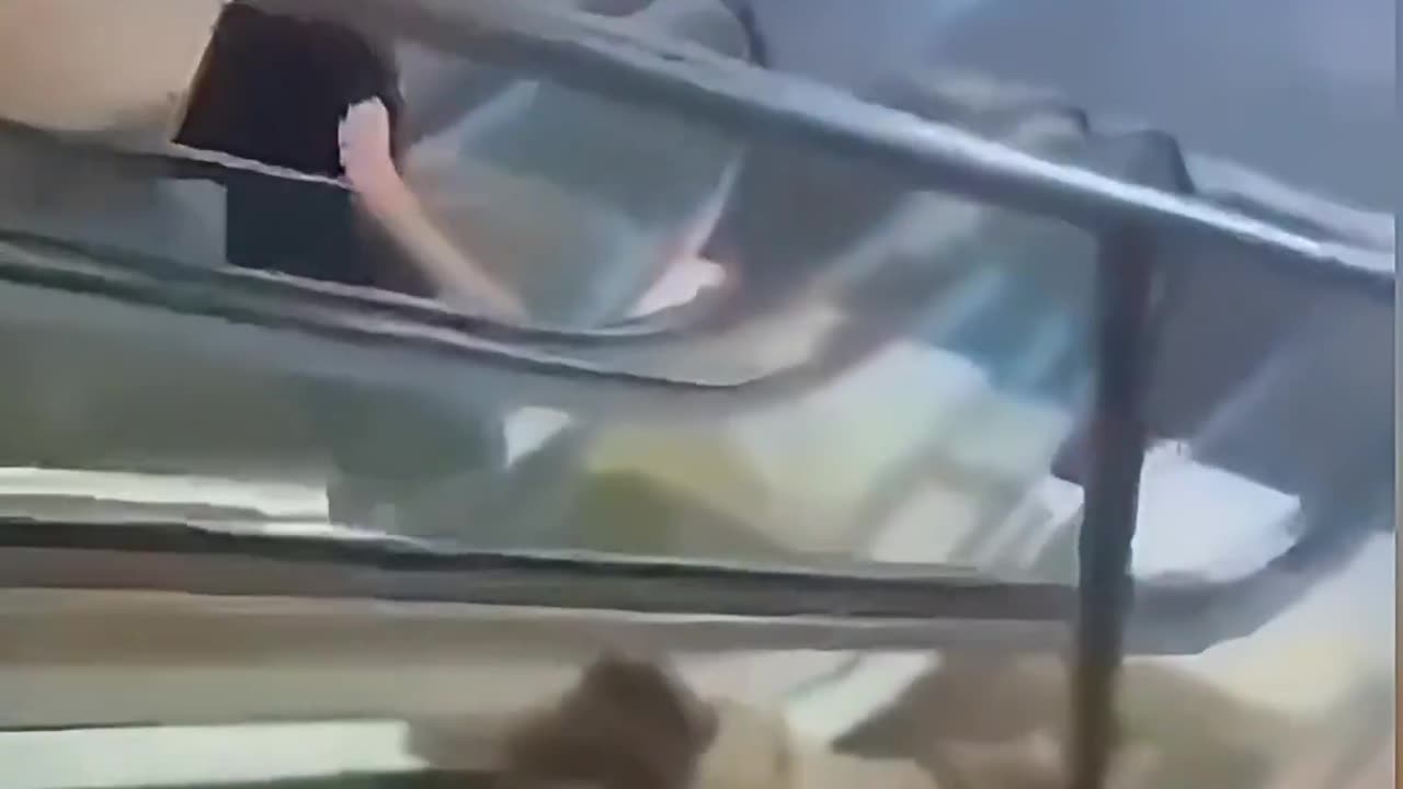 The Situation De-escalated Quickly