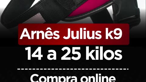 Arnês Tático Julius