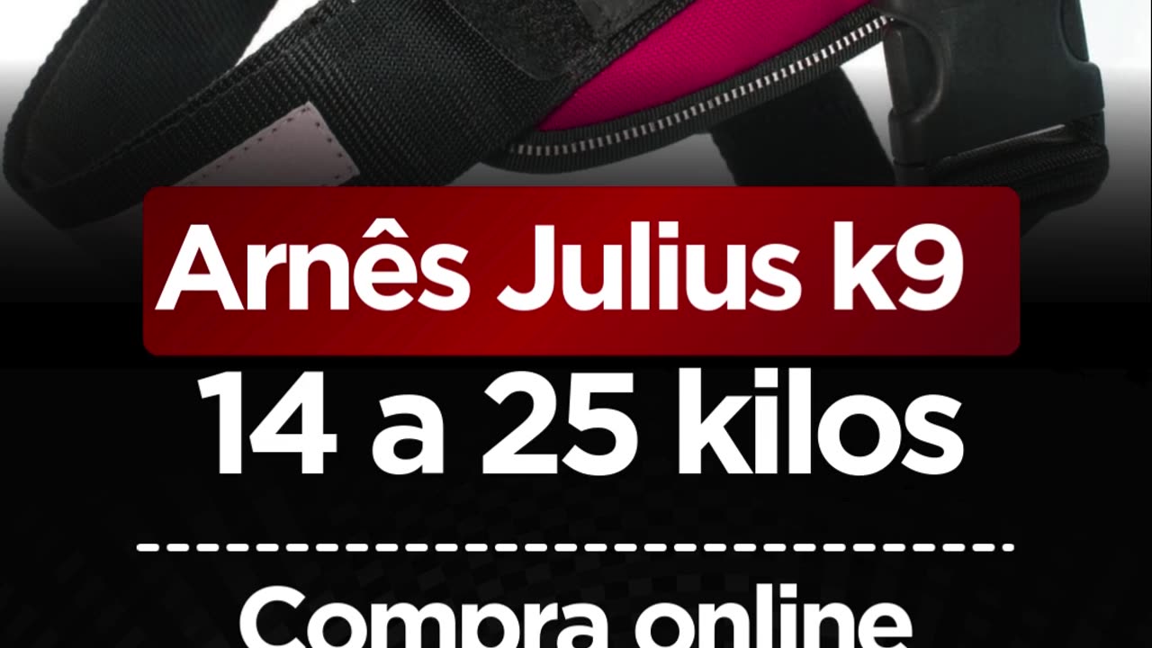 Arnês Tático Julius