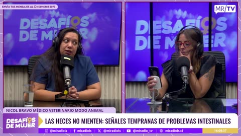 DESAFÍOS DE MUJER 11/11/2025