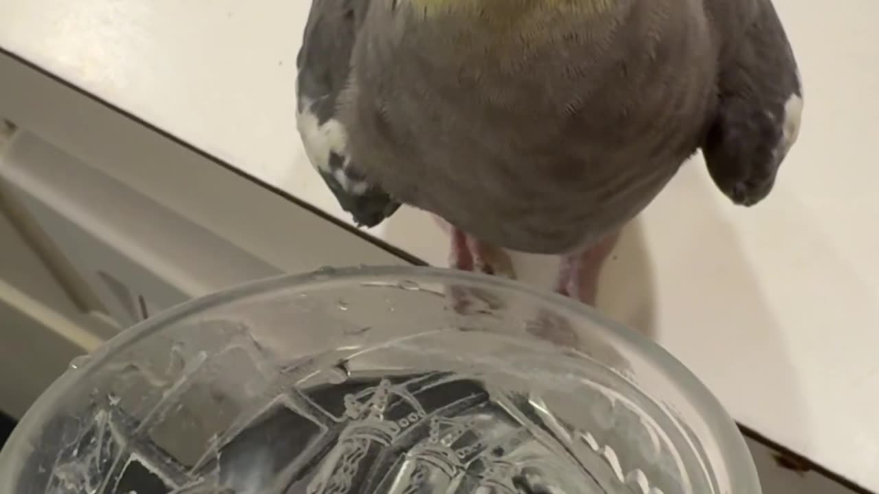 Waiting on That Fresh Sip