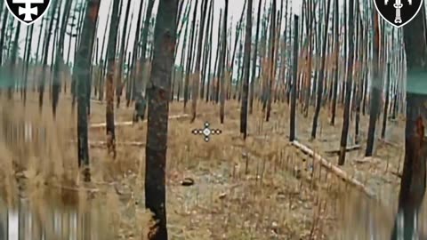 🛸🇷🇺 Ukraine Russia War | SIGNUM Battalion Strikes Russians in the Lyman with FPV Drones | RCF