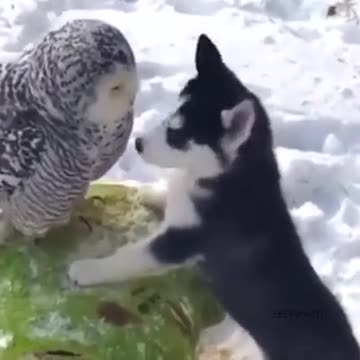 Love is blind when it comes to matters of the heart