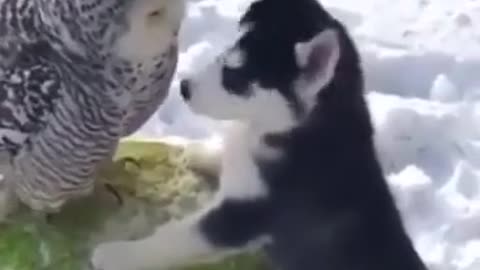 Love is blind when it comes to matters of the heart