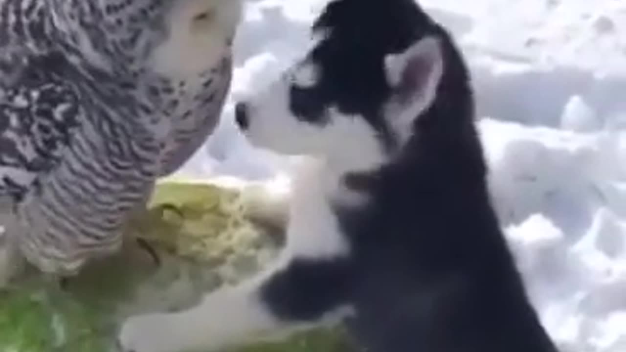 Love is blind when it comes to matters of the heart