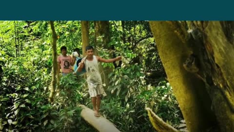 Guessing ETHA's Top Products Preview