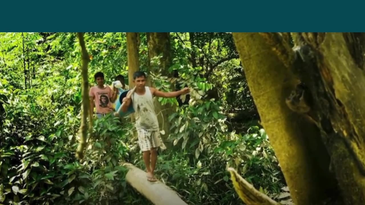 Guessing ETHA's Top Products Preview