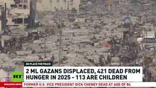 RT News - November 4 2025 (17:00 MSK)