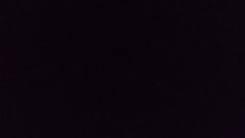Dream: The dark forest detailed