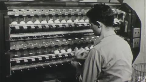 Eggs: The Science and Care Behind Commercial Egg Production