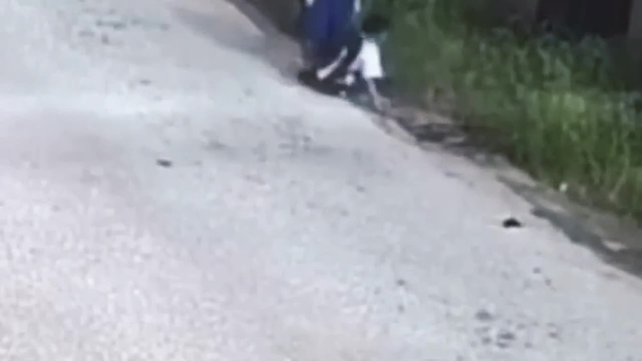 SCHOOL BOY IS HIT BY A CAR FOR BEING DISTRACTED