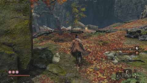 PC Longplay - Sekiro Shadows Die Twice - EU - 02-04