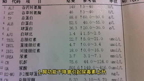 高血壓與腎臟病 密切關聯、惡性循環