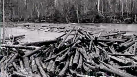 LUMBERING IN THE NORTH WOODS - LUMBERING IN THE NORTH WOODS - fc-fc-448