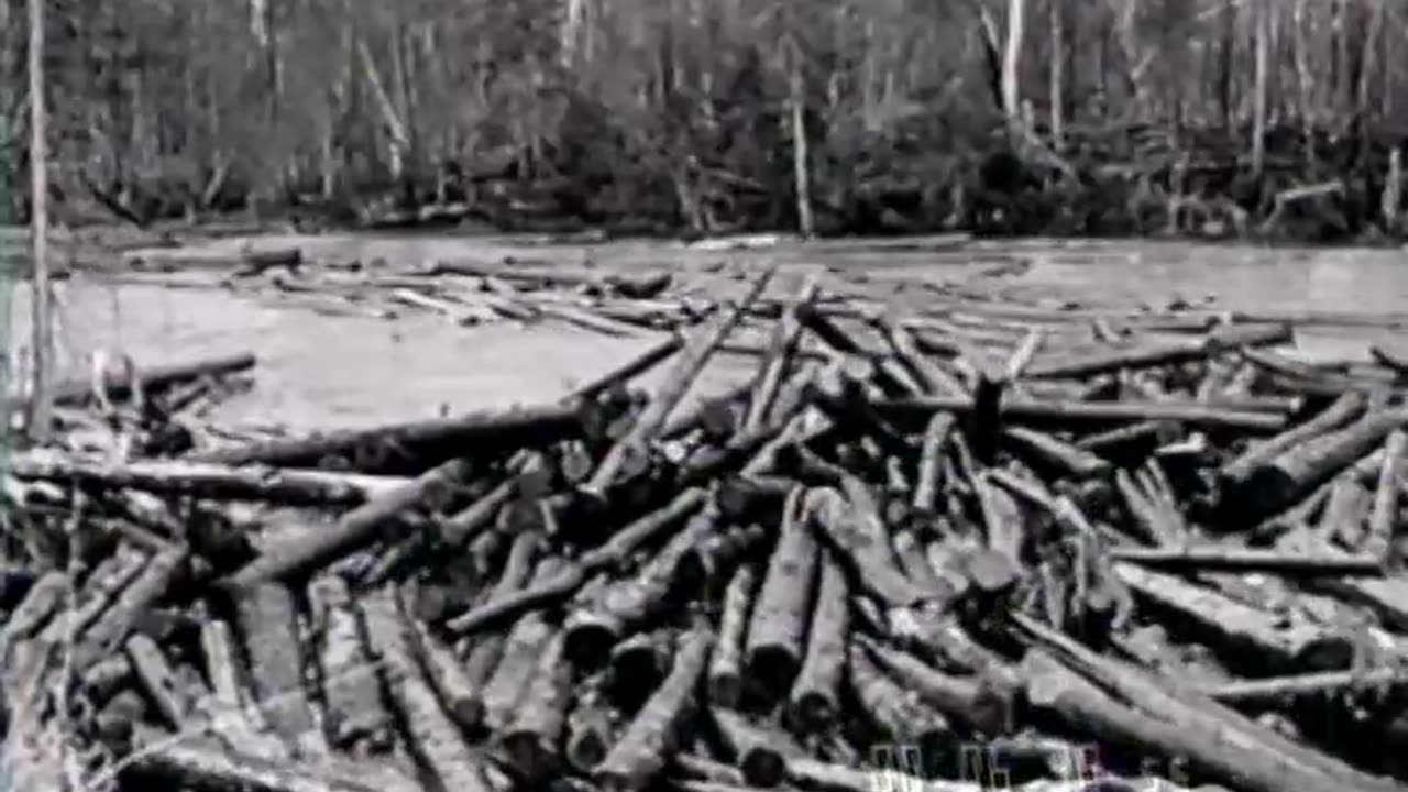 LUMBERING IN THE NORTH WOODS - LUMBERING IN THE NORTH WOODS - fc-fc-448