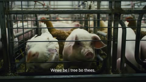 Cruelty Farm | Animals, Health, Planet, Lifestyle, and Sustainable Living