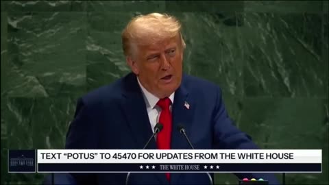 Trump Declared Trafficking of Children Is Evil, But That’s The Globalist Migration Agenda!
