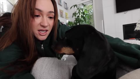 My Christmas Tree, Zane's Birthday, and Vlogmas Day 1!!