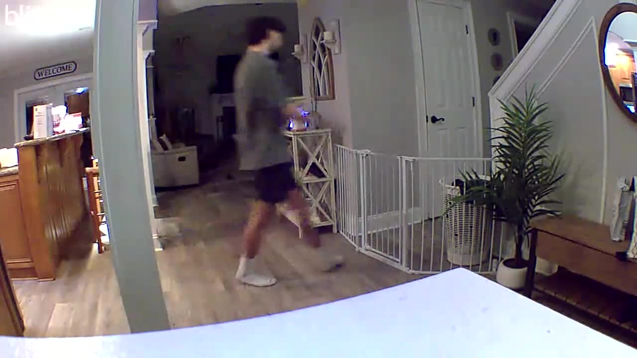 Security Camera Captures Fall Over Pet Gate