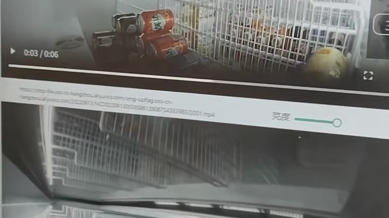 😮🔧 Wait Until You See This Machine In Action! | FeedMyCuriosity