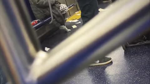 Diversity destroy public transportation