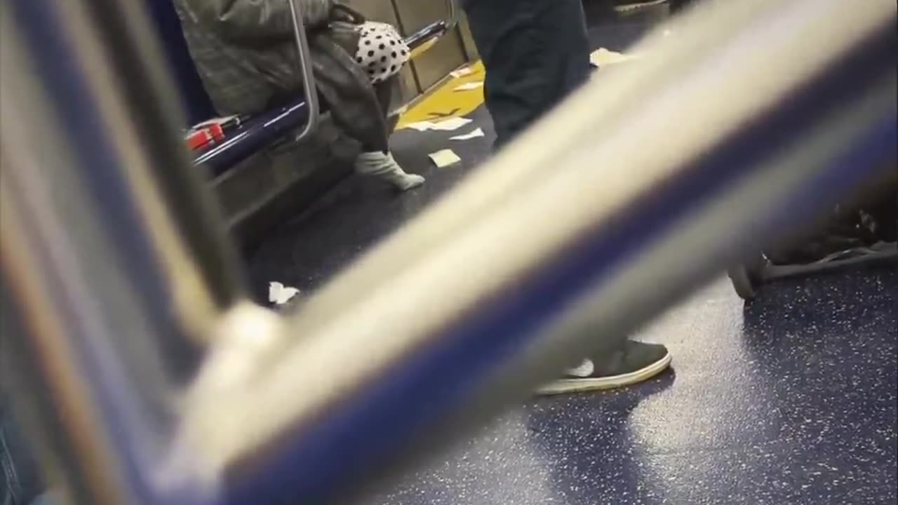 Diversity destroy public transportation