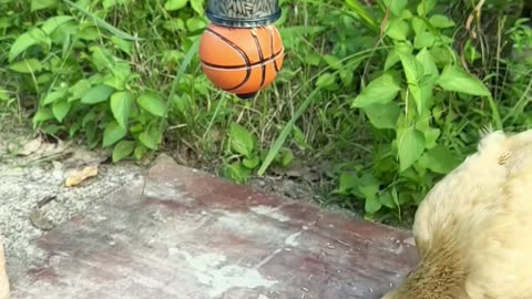 🤯💡 This Simple Trick Will Make Your Idea Look So Cute! | LifeHacksDaily