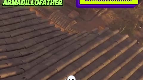 A #random #voice in AC Shadows #scares me am I am #vibing out to the music and #enjoying the game!