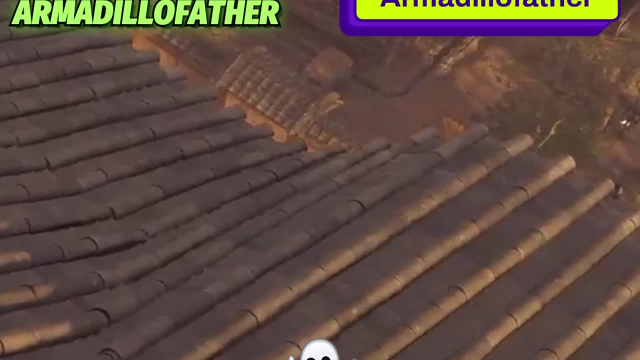 A #random #voice in AC Shadows #scares me am I am #vibing out to the music and #enjoying the game!