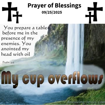 Prayer of Blessings #youtubeshorts #grace #jesus #mercy #faith #fyp #trust #joy #trust #blessings