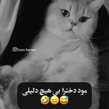 Mod girls for no reason🤣😐