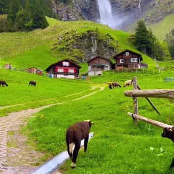 Hot girl viral video