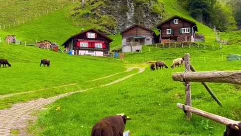 Hot girl viral video