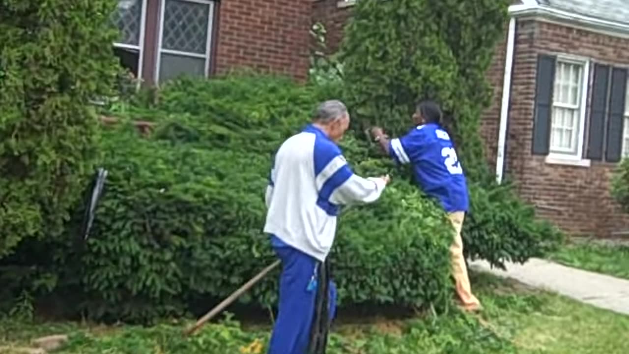 DAVE HELPING SHEA TRIM BUSHES, THE SHEA SHOW