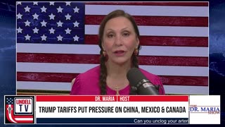 Trump Tariffs Put Pressure on China, Mexico & Canada