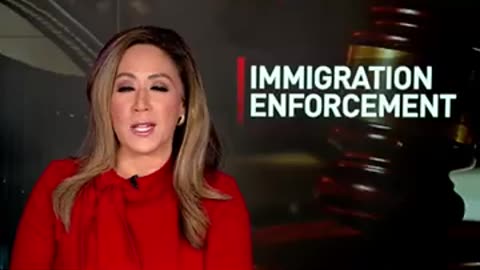 DHS to Acquire Boeing 737 Fleet for Deportation Flights