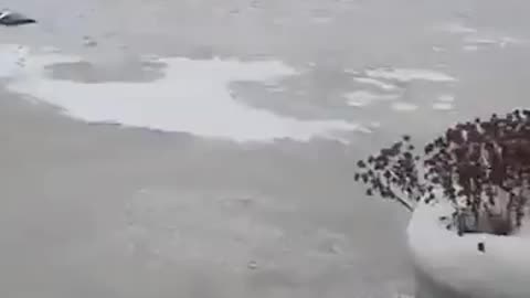 🚨🇺🇸 Meanwhile in Detroit, US, flooded & then it froze ‼️