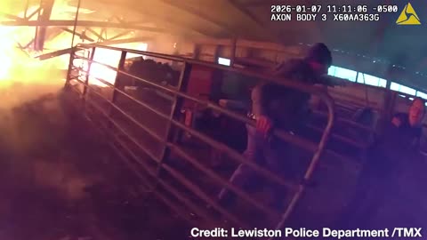 Cow Rescue! Conservationists & Police Rescue Bovines from Burning Barn